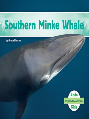 cover image of Southern Minke Whale